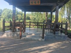 -大兴滨河森林公园