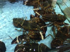 -渔民新村(番禺总店)