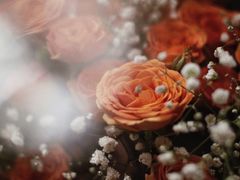 -循礼门鲜花花市(武汉循礼门店)