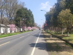 -善卷洞风景区