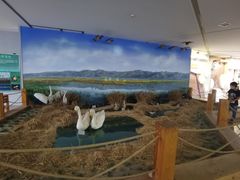 -延庆地质公园博物馆