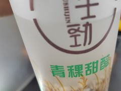 -德禄酸奶(莫家街店)