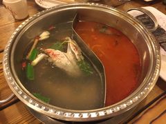 酸汤鱼-芦苇荡·酸汤鱼(回龙观店)