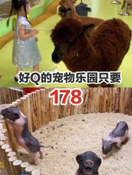 -七巧国萌宠乐园(龙湖天街店)