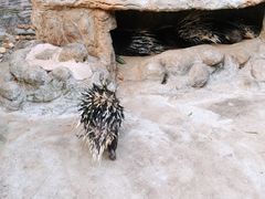 -海南热带野生动植物园