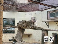-青藏高原野生动物园