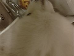 -FANEN法念·烘焙·甜点(万象城店)