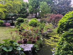 -上海醉白池公园