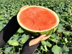 -七的湖·晚芳亭·阳澄湖农家菜·大闸蟹(莲花岛店)