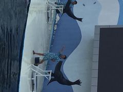 iphone_upload_pic-北戴河圣蓝海洋公园