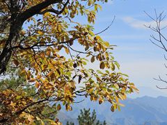 -塔云山