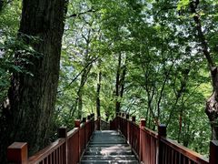 -终南山国家森林公园