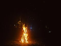 -前小桔亲子创意农场·草莓采摘·露营烧烤