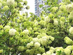 -大龙山(地铁站)