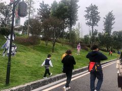 -枫香湖儿童公园