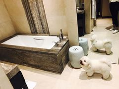 -上海崇明金茂凯悦酒店