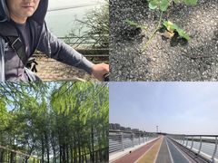 -贡湖湾湿地公园