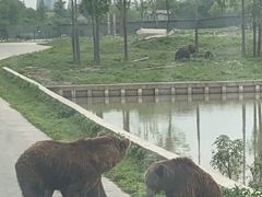 -上海野生动物园