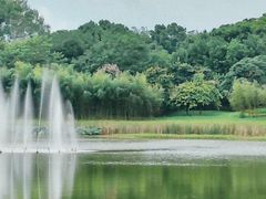 -福建鲤鱼洲酒店