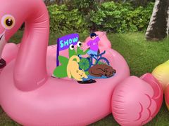 -海南清水湾莱佛士酒店