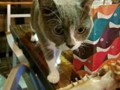 -MIKAKU(万达广场上海宝山店)