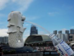 -鱼尾狮公园