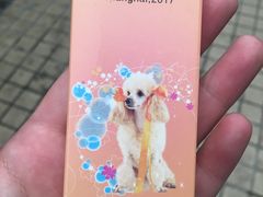 -爱侣宠医·鹦鹉专科·小型哺乳类·异宠专科(灵石路店)