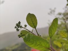 -香山公园