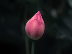 -昆山城市公园