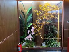-鱼翅楼·津派砂锅鱼翅(水上公园店)