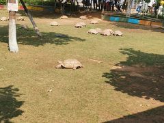 -东莞香市动物园