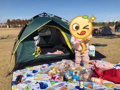 -春花秋色城市公园