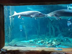 -华夏文旅海洋公园