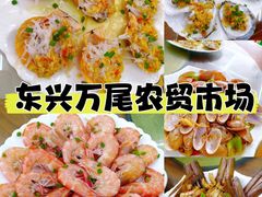 -万尾金滩