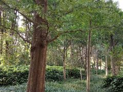 -苏州河梦清园环保主题公园