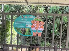 -野象谷景区