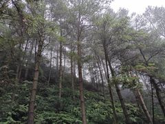 -綦江古剑山