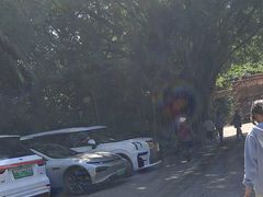 -南沙天后宫景区