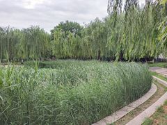 -丰台科技园生态主题公园