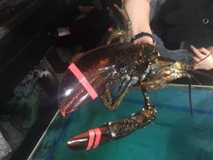 旭璟酒家-旭璟酒家·传统粤菜·湘菜(逸景路店)