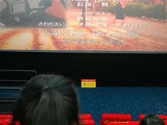 -幸福蓝海国际影城(河西店)