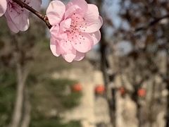 -钟山体育运动公园