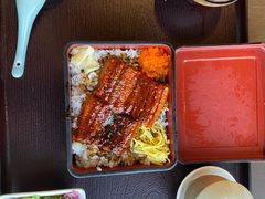 -Hatsune隐泉日式料理(三里屯太古里店)