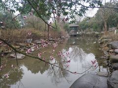 -白马涧龙池景区