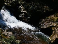 -龙苍沟森林公园