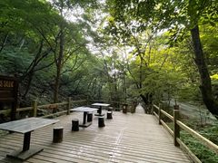 -本溪汤沟绿石谷森林公园