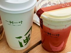 -一树一叶·福建茶档(石鼓路店)