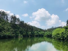 -青龙山国家森林公园