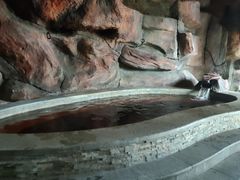 -中家鑫园温泉酒店鑫悦汤泉