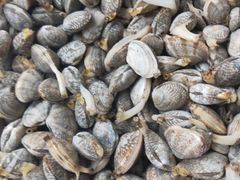 -四海鲜渔家菜(黄金海岸店)